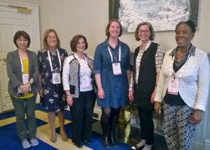 Sister organisations' representatives in Dublin June 2017.